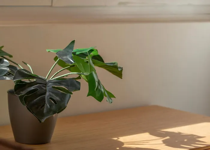 Apartamento Alma Norteña